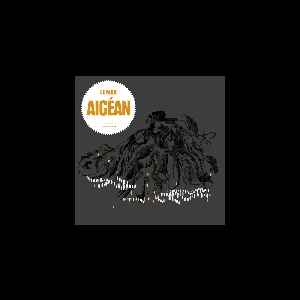 Lemur – Aigéan