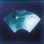 Taxgorkhan – Leaves In A Stream