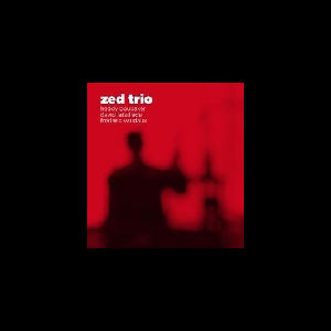Zed Trio – Lost Transitions
