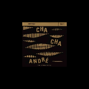 Joe Davolaz – Cha Cha André