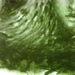 Ville Leinonen – Suudelmitar