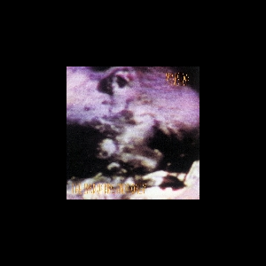 Ministry – The Land Of Rape And Honey