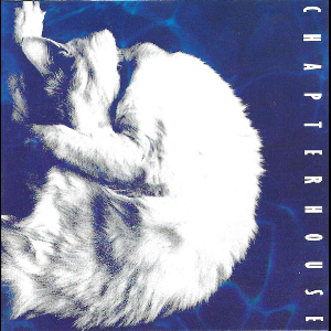 Chapterhouse – Whirlpool (White & Black Marbled)