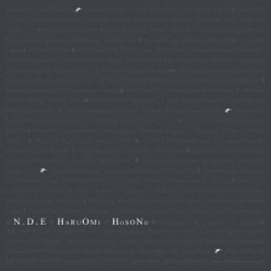 Haruomi Hosono – N . D . E