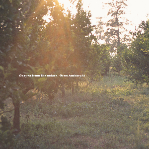 Oren Ambarchi – Grapes From The Estate