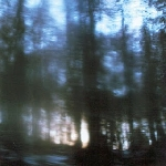 Nimh / Nefelheim – Whispers From The Ashes