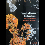 Denis Frajerman - Antoine Volodine – Variations Volodine
