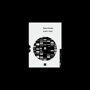 Ryoji Ikeda – Dataphonics