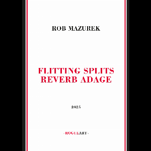Rob Mazurek – Flitting Splits Reverb Adage