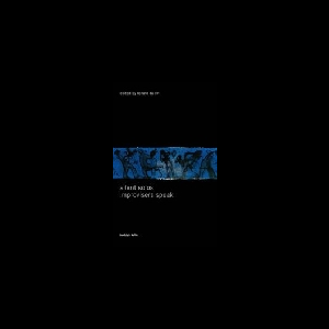 V/A Improvisers Speak – Silent Solos