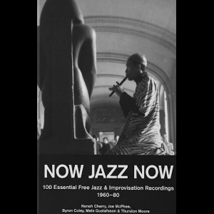 Thurston Moore, Byron Coley, Mats Gustafsson – Now Jazz Now