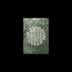 Optical Sound – Numéro Cinq