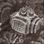 Dieb13 / Gustafsson / Siewert – (Fake) The Facts (Rsd 2013 Release)