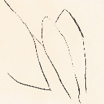 Jon Porras (Barn Owl) – Voices Of The Air