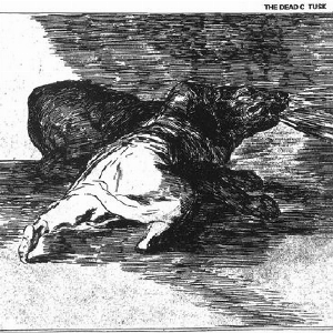 The Dead C – Tusk