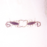 Cross Record – Wabi-Sabi