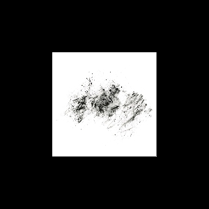 Natura Morta – Decay