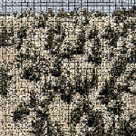 Gregory Uhlmann – Extra Stars