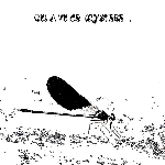 Augustin Brousseloux - Jean-Marc Foussat - Quentin Rollet – Qui A Vu Ce Mystère...