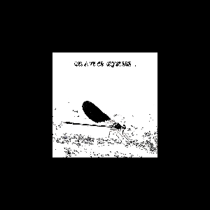 Augustin Brousseloux - Jean-Marc Foussat - Quentin Rollet – Qui A Vu Ce Mystère...