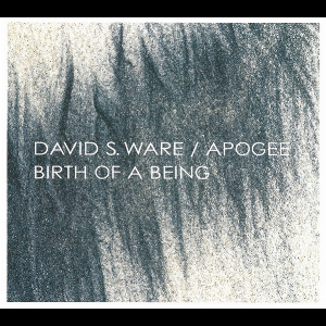 David S.ware - Apogee – Birth Of A Being