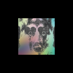 Crocodiles – Boys