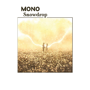 Mono – Snowdrop