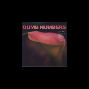 Dumb Numbers (W/ Lou Barlow - Dale Crover - Murph ...) – S/T