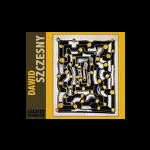 Dawid Szczesny – Luxated Symmetry