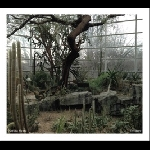 Natura Morta (Frantz Loriot - Sean Ali - Carlo Costa) – Environ