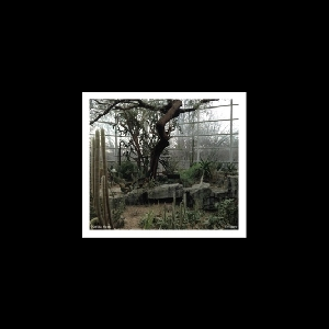 Natura Morta (Frantz Loriot - Sean Ali - Carlo Costa) – Environ