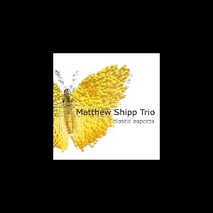 Matthew Shipp Trio (Michael Bisio - Whit Dickey) – Elastic Aspects