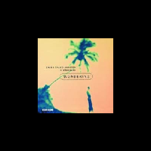 Simon Spang-Hanssen - Maneklar – Wondering