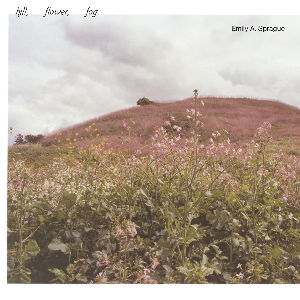 Emily A. Sprague – Hill, Flower, Fog