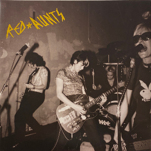 Red Aunts – Come Up For A Closer Look ( Lp, 45 Rpm, Compilation, Gatefold)