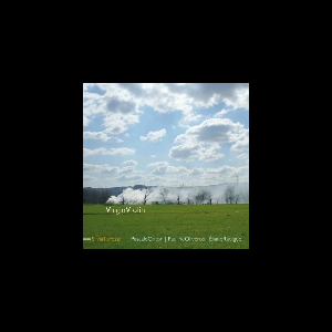 Silvia Tarozzi - Pascale Criton - Pauline Oliveros - Éliane Radigue – Virgin Violin