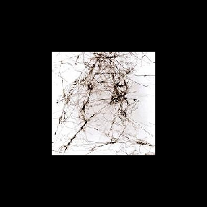 Jesse Zubot – Dementia