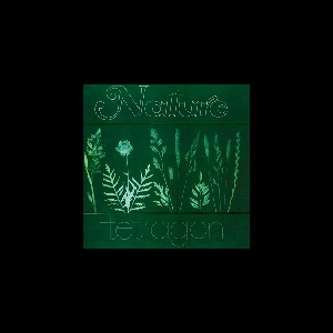 Tetragon – Nature