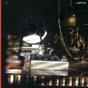 Lary 7 – Larynx