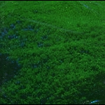 Hubbub – Hoop Whoop