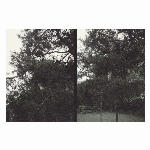 Okkyung Lee – Just Like Any Other Day (어느날): Background Music For Your Mundane Activities