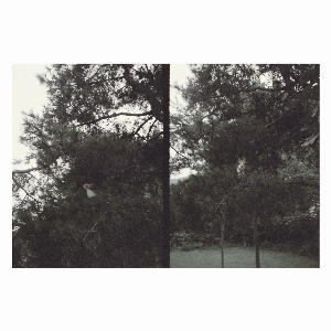 Okkyung Lee – Just Like Any Other Day (어느날): Background Music For Your Mundane Activities