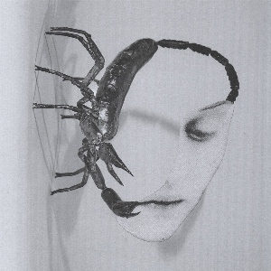Tortoise – Touch