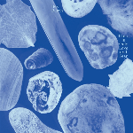 Bex Burch – There Is Only Love And Fear