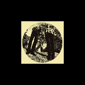 Ty Segall & White Fence – Hair