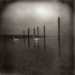 Om – Conference Of The Birds