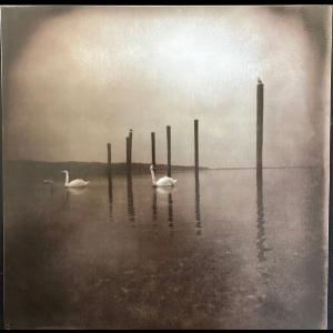 Om – Conference Of The Birds