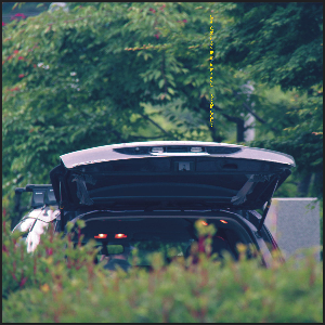 Eiko Ishibashi And Jim O'rourke – Pareidolia