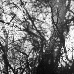 Grouper – Way Their Crept