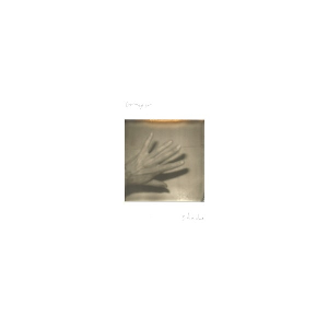 Grouper – Shade